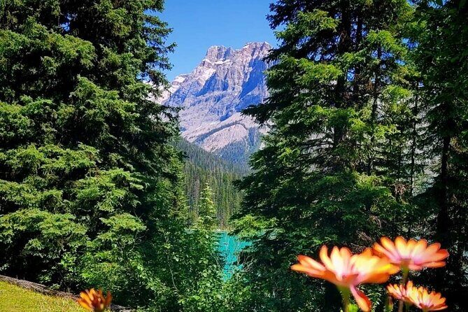 Banff National Park Moraine Lake and Lake Louise Explorer Tour - Who Would Benefit from This Tour?