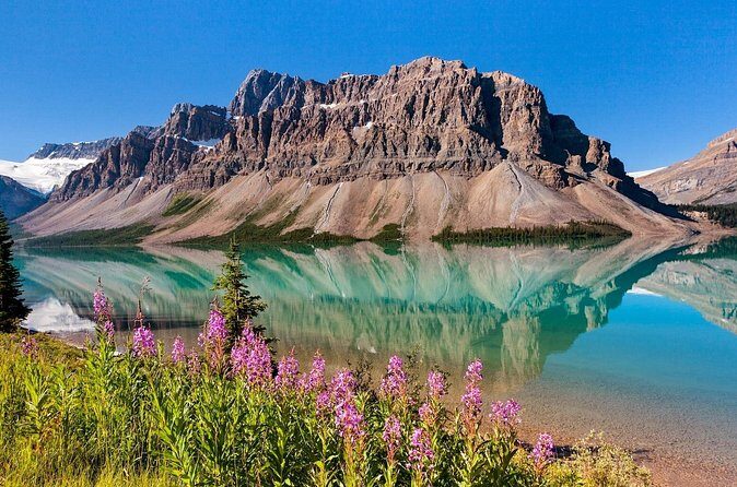 Banff National Park Tour with a Small Group - Authentic Experiences and Reviews