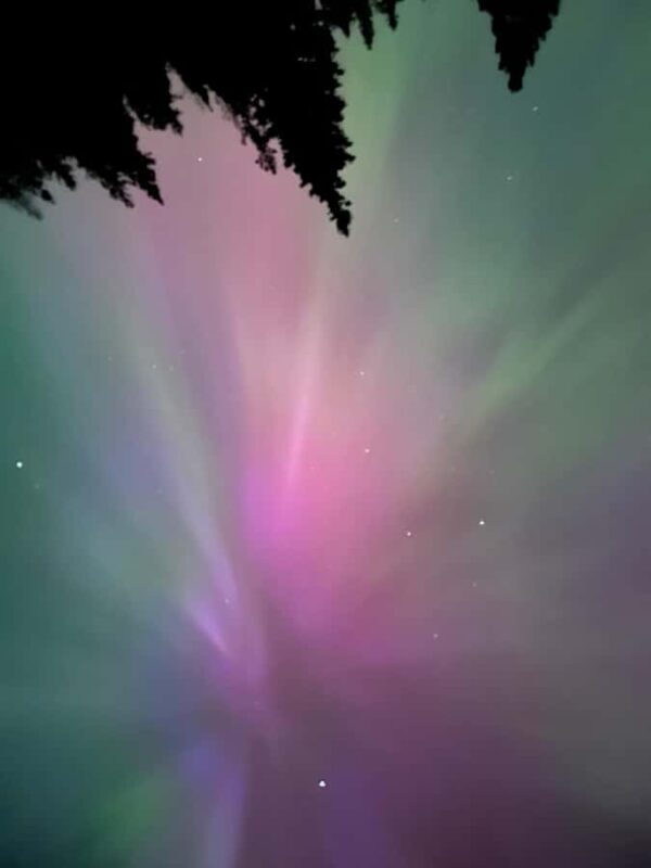 Banff Night Sky: Northern Lights and/or Stargazing Tour - Who Should Consider This Tour?