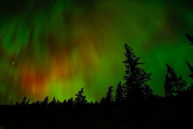 Banff Night Sky Stargazing Tour from Canmore and Banff - The Real Traveler Perspective