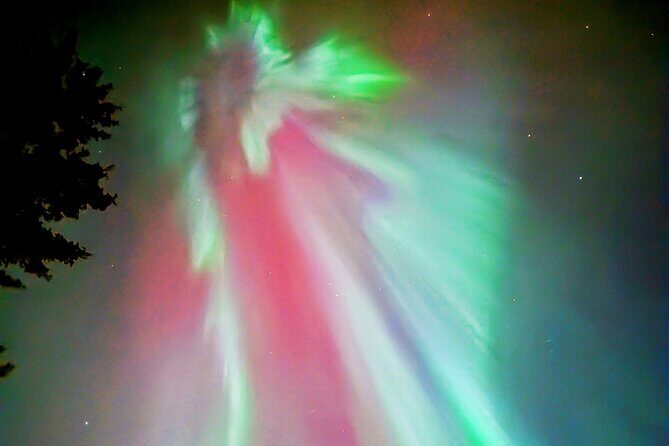 Banff Night Sky Stargazing Tour from Canmore and Banff - The Sum Up: Who Will Love This Tour?