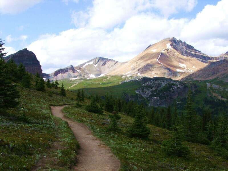 Banff PRIVATE Guided Nature Walk + Transportation - 2.5H - FAQ