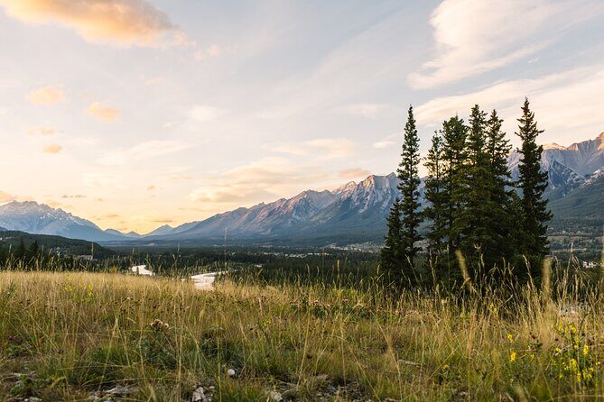 Banff PRIVATE Safari Drive and Custom Nature Walk -4H - What to Expect During the Tour