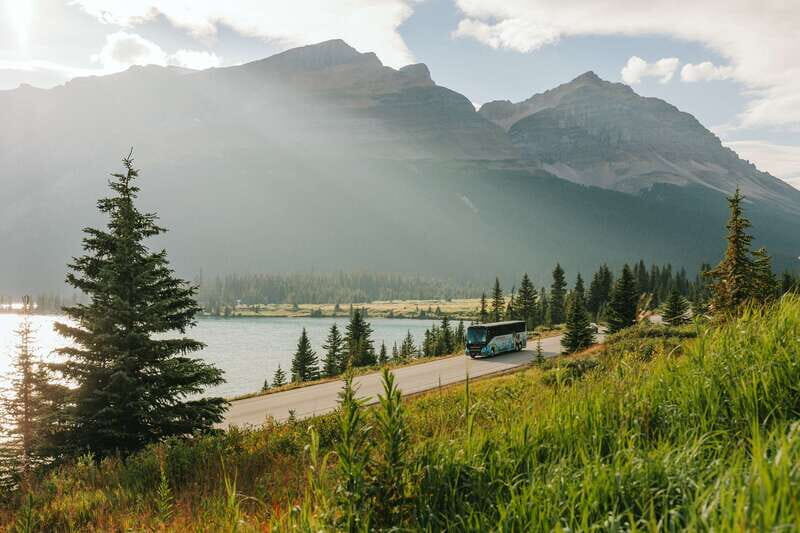 Banff: Sightseeing, Lake Minnewanka Cruise and Banff Gondola - Who Would Love This Tour?