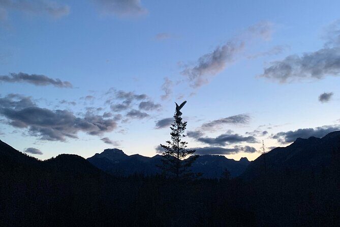 Banff Sunset and Stargazing Tour - 2hr Walking Tour - A Closer Look at the Experience