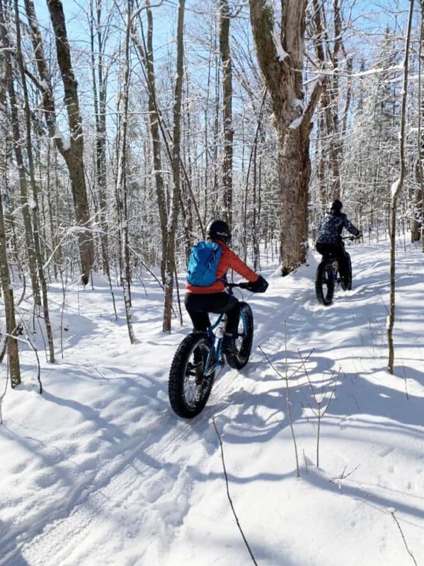 Banff Top Sights via Electric Fat Bike Tour All Skill Levels - The Experience: What to Expect