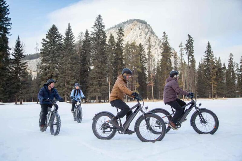 Banff Top Sights via Electric Fat Bike Tour All Skill Levels - Who Will Love This Tour?