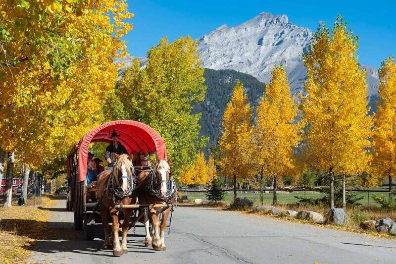 Banff: Wagon Ride with Cowboy Cookout BBQ - The Itinerary Breakdown