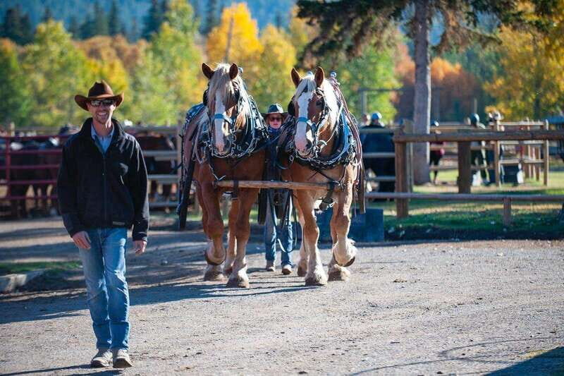 Banff: Wagon Ride with Cowboy Cookout BBQ - Practical Considerations