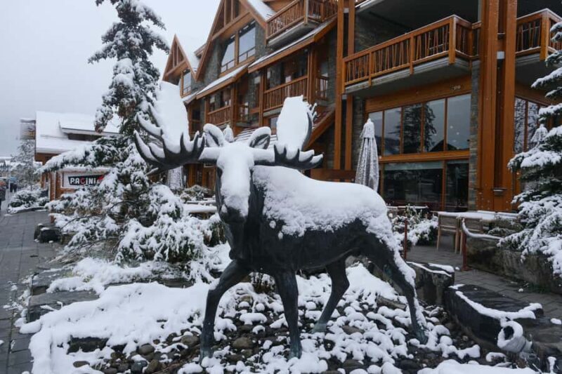 Banff with Gondola, Minnewanka Cruise, Hot Spring & 3 Lakes - Key Points