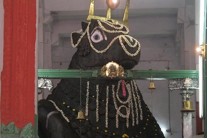 Bangalore city tour with a guide in private car and lunch - FAQs