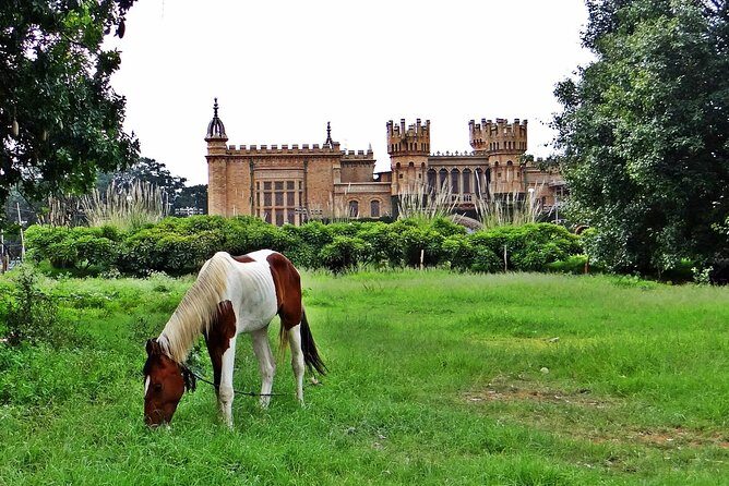 Bangalore - Full Day Private Tour - A Detailed Look at What to Expect
