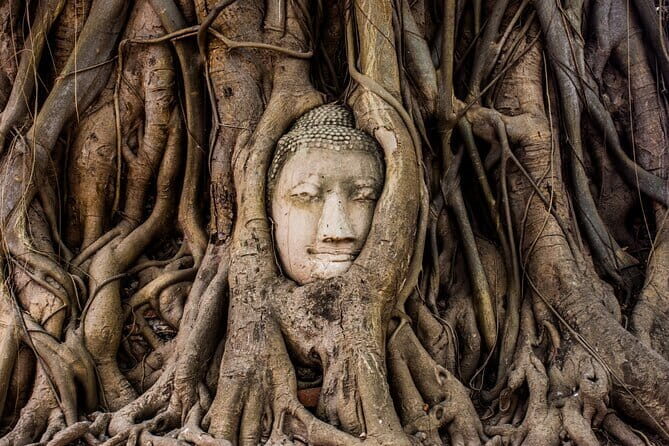 Bangkok Ayutthaya Temples and Boat Tour with Lunch - Who Is This Tour Best For?