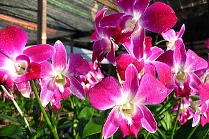 BANGKOK: Damnern Saduak Floating Market, Thai House - A Detailed Look at the Tour Itinerary