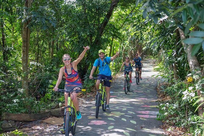 Bangkok Jungle Bike Tour Including Lunch - Analyzing the Value
