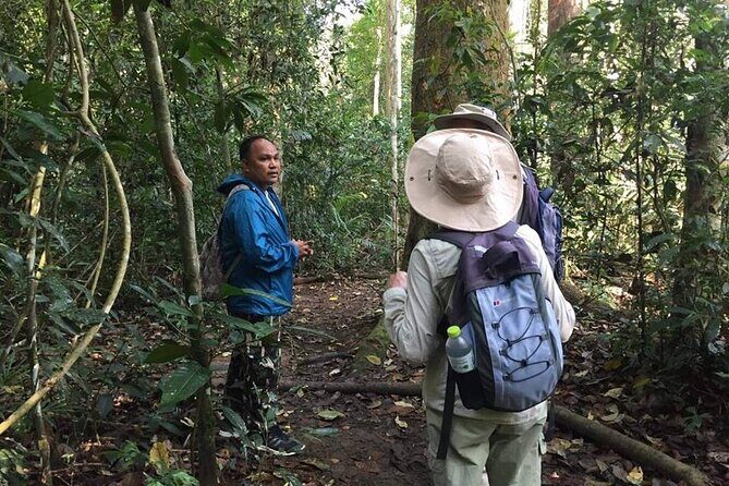Bangkok plus Ayutthaya and Khao Yai (Private 4 days) - Is This Tour Worth It?