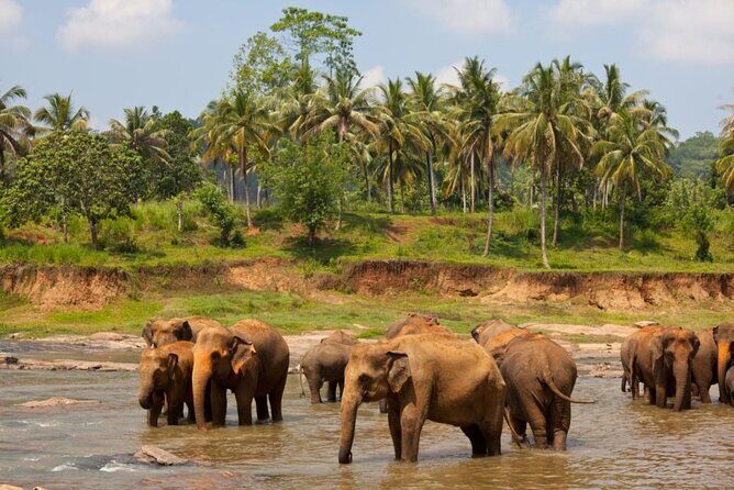 Bangkok: Safari world & Marine park - Key Points