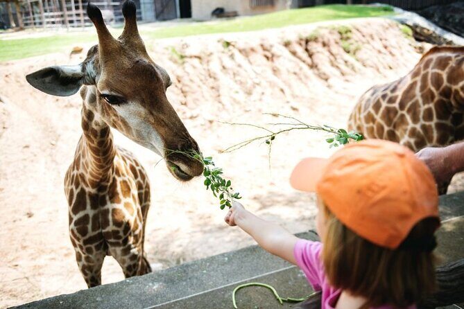 Bangkok: Safari world & Marine park - A Deep Dive into the Safari World & Marine Park Experience