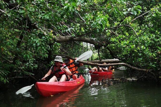 Bangkok Tour by Boat and Bike - The Value of Guided Tours