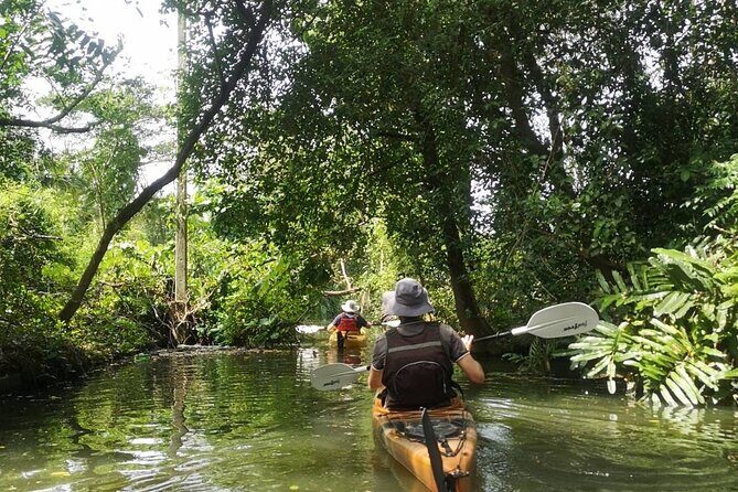 Bangkok Tour by Boat and Bike - Practical Considerations