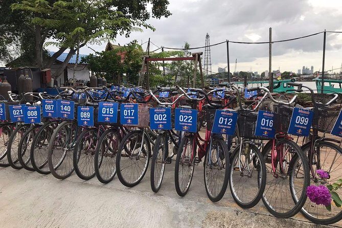 Bangkok's Green Lung Jungle Cycling Adventure Tour - 2. Is the tour suitable for children?
