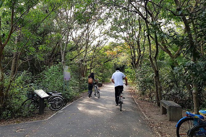 Bangkok's Green Lung Jungle Cycling Adventure Tour - Who is This Tour Best For?