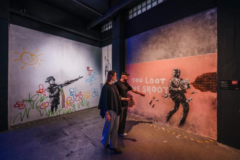 Banksy Museum Madrid: Entrance Ticket - Who Is This Tour Best For?