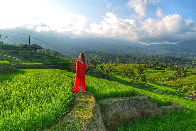 Banyumala Waterfall and Beratan Lake Temple Tours - Who Will Love This Tour?