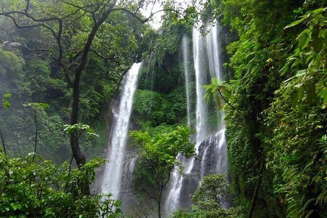 Banyuwana & Banyumala Waterfalls Tour (Private & All-Inclusive ) - The Sum Up