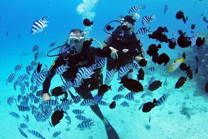 Baptism diving in the turquoise waters of Tahiti - Key Points
