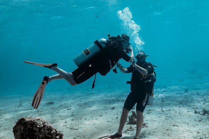 Baptism diving in the turquoise waters of Tahiti - What to Expect from Your Baptism Diving Experience in Tahiti