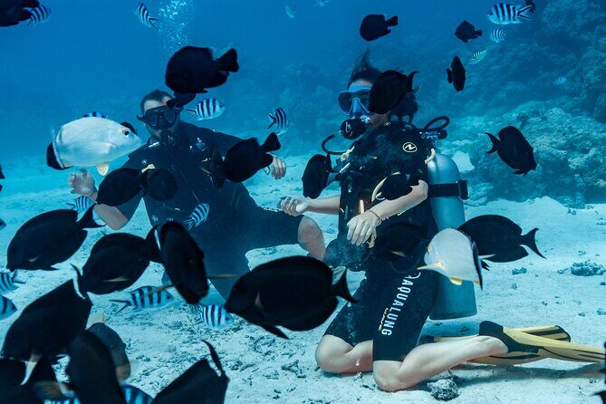 Baptism diving in the turquoise waters of Tahiti - Frequently Asked Questions