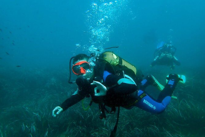 Baptism of diving from boat - Final Thoughts: Is This Tour Worth It?