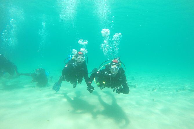 Baptism of diving in the Natural Park of the Strait - An In-Depth Look at the Experience