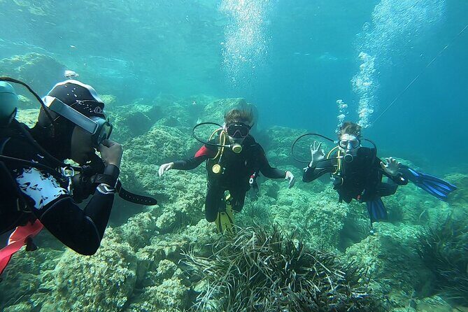 "Baptism of the Sea: Diving on the Island of Elba" - Who Should Consider This Tour?