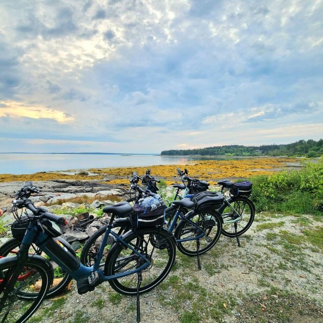 Bar Harbor: Acadia National Park Carriage Roads Ebike Tour - Key Points