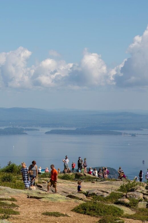 Bar Harbor: Acadia National Park Customizable Private Tour - The Sum Up