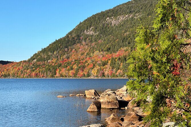 Bar Harbor and Acadia Full Day Private Tour from Portland - Potential Drawbacks and Considerations