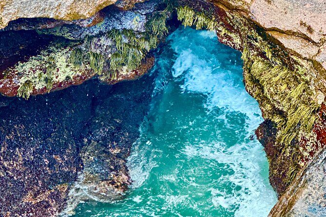 Bar Harbor and Acadia Full Day Private Tour from Portland - The Sum Up: Is This Tour Worth It?