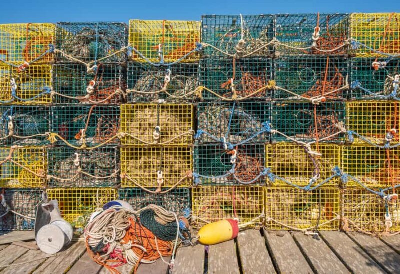 Bar Harbor: Premium Private Tour with Local Guide - What the Experience Feels Like