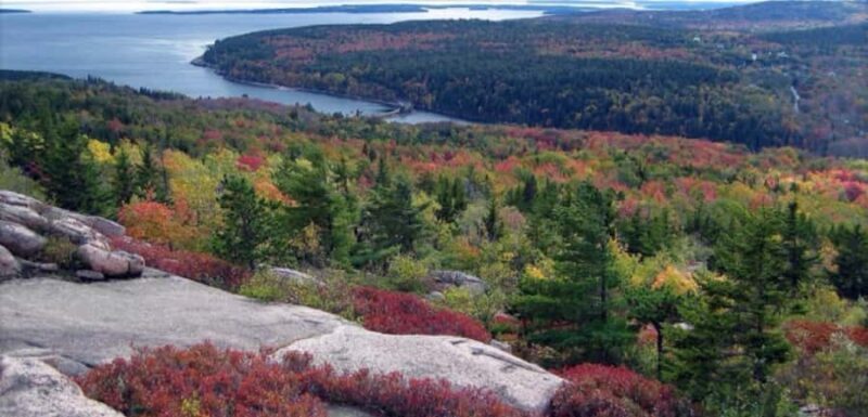 Bar Harbor: Premium Private Tour with Local Guide - How This Tour Compares to Others