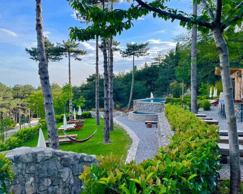 Bar, Montenegro: Shore Excursion with Skadar Lake Cruise - An In-Depth Look at the Tour Experience