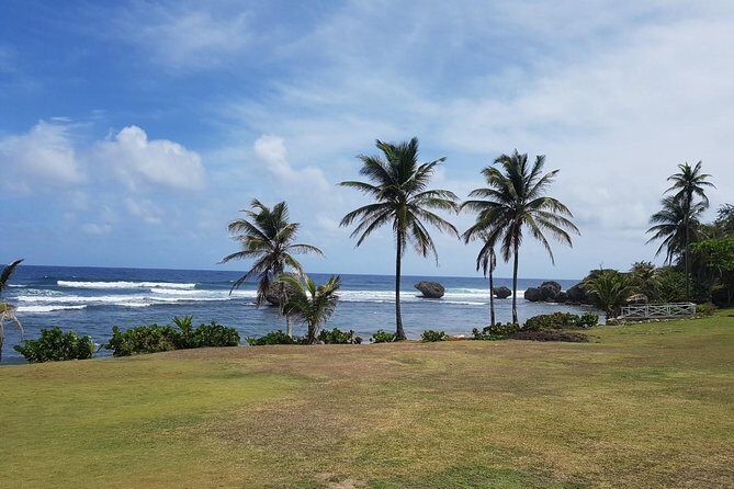 Barbados Half Day Coastal Sightseeing Private Tour - Authentic Experiences and Authenticity