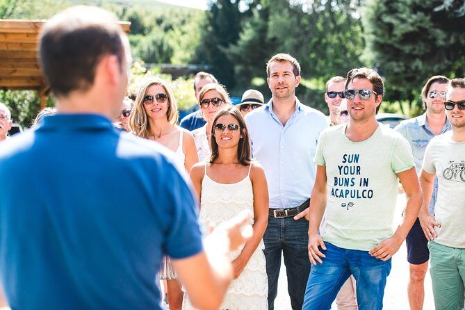 Barbaresco and Barolo Tasting at Cantina Francone - Who Is This Tour Best For?