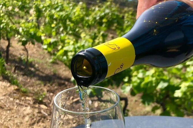 BarCa Winery Cinqueterre Trekking & Wine Tasting & Pesto Class - Why This Tour Provides Great Value