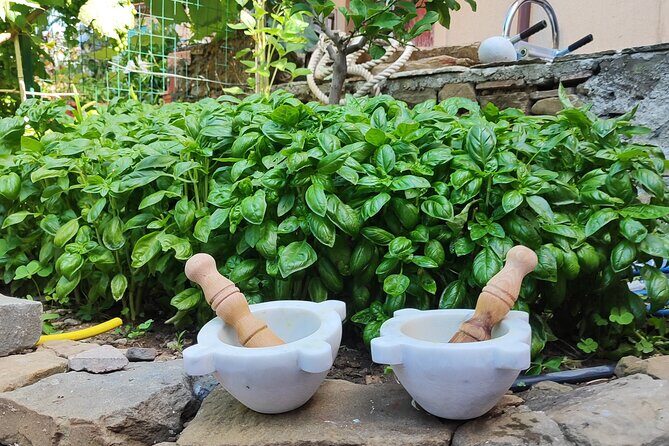 BarCa Winery Cinqueterre Trekking & Wine Tasting & Pesto Class - FAQs about the BarCa Winery Cinqueterre Trekking & Wine Tasting & Pesto Class