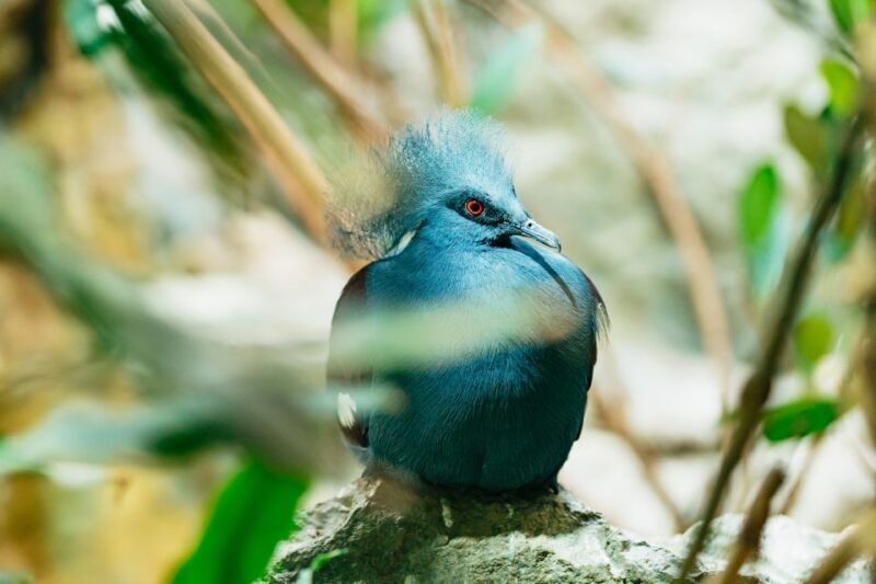 Barcelona: 1-Day Ticket to Barcelona Zoo - Final Thoughts