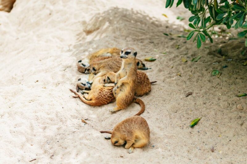 Barcelona: 1-Day Ticket to Barcelona Zoo - FAQ