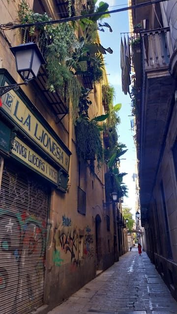 Barcelona 101 Walking Tour: All Highlights in One Day - A Deep Dive into the Barcelona 101 Walking Tour