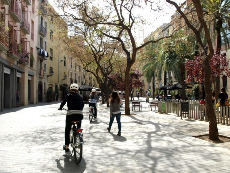 Barcelona 3 Hour Daily Electric Bike Tour - The Sum Up